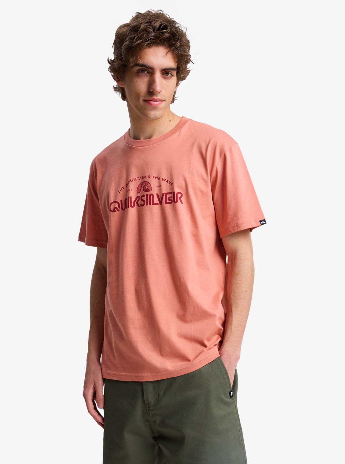 CAMISETA MASCULINO QUIKSILVER EV VISTA